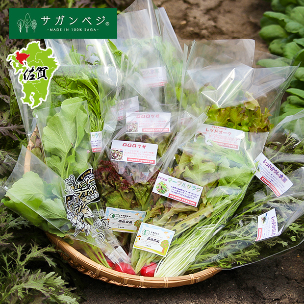 植物性で育てた完全無農薬有機JAS　葉物野菜セット7品目×２P